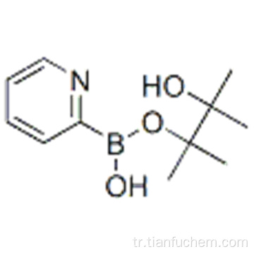 Piridin-2-boronik asit pinacol ester CAS 874186-98-8